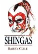 Shingas (eBook, ePUB) - Bild 1