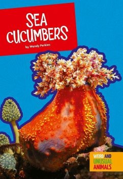 Sea Cucumbers - Perkins, Wendy