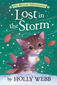 Lost in the Storm - Webb, Holly