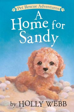 A Home for Sandy - Webb, Holly