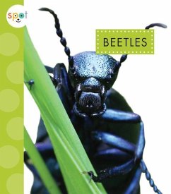 Beetles - Black, Nessa