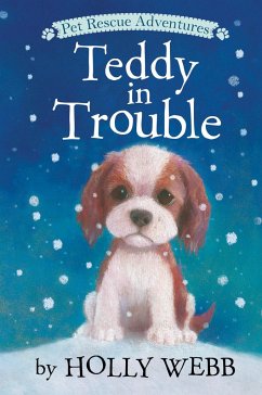Teddy in Trouble - Webb, Holly