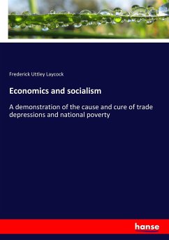 Economics and socialism