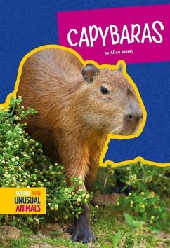 Capybaras - Morey, Allan