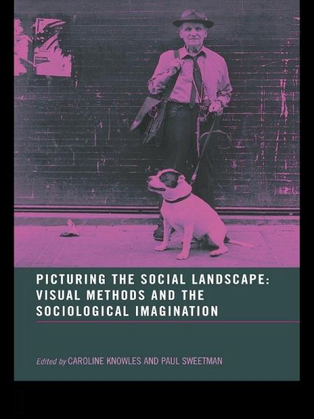 Picturing the Social Landscape (eBook, ePUB) Picturing the Social Landscape (eBook, ePUB)
