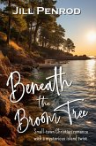 Beneath the Broom Tree (eBook, ePUB)