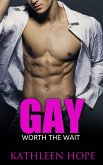 Gay: Worth the Wait (eBook, ePUB) Gay: Worth the Wait (eBook, ePUB)