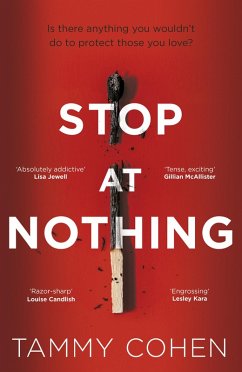 Stop At Nothing (eBook, ePUB) - Cohen, Tammy