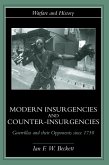 Modern Insurgencies and Counter-Insurgencies (eBook, ePUB)