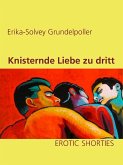 Knisternde Liebe zu dritt (eBook, ePUB)