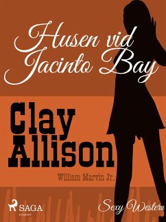 Cover Husen vid Jacinto Bay (eBook, ePUB)