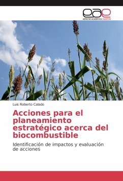 Acciones para el planeamiento estratégico acerca del biocombustible - Calado, Luiz Roberto