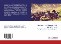 Study of Leptin and GHR gene in goat - Sharma, Vikas;Gahlot, G. C.