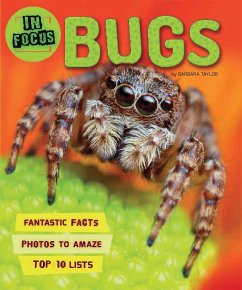 In Focus: Bugs - Kingfisher