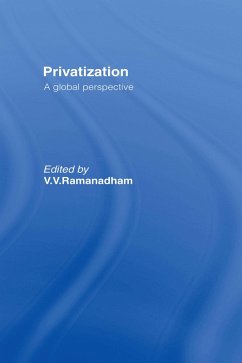 Privatisation (eBook, ePUB) Privatisation (eBook, ePUB)