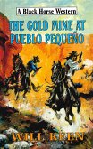 The Gold Mine at Pueblo Pequeno (eBook, ePUB)