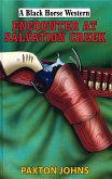 Encounter At Salvation Creek (eBook, ePUB)