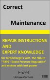 Repair Instructions for Turbochargers (eBook, ePUB)