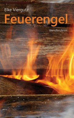 Feuerengel (eBook, ePUB) - Viergutz, Elke