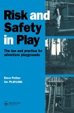 Risk and Safety in Play (eBook, ePUB)