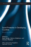 Social Protection in Developing Countries (eBook, PDF)