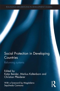 Social Protection in Developing Countries (eBook, PDF)