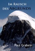 Im Rausch des Abgrunds (eBook, ePUB)