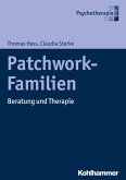 Patchwork-Familien (eBook, PDF)