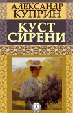 Куст сирени (eBook, ePUB)