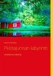 Piilotajunnan labyrintti (eBook, ePUB) - Bild 1