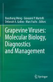 Grapevine Viruses: Molecular Biology, Diagnostics and Management