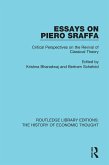 Essays on Piero Sraffa (eBook, PDF)