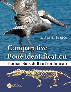 Cover Comparative Bone Identification (eBook, ePUB)