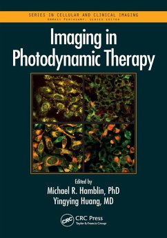 Cover Imaging in Photodynamic Therapy (eBook, PDF)
