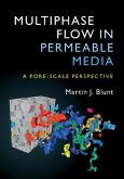 Multiphase Flow in Permeable Media (eBook, PDF)