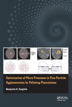 Cover Optimization of Micro Processes in Fine Particle Agglomeration by Pelleting Flocculation (eBook, PDF)