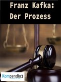 Der Prozess (eBook, ePUB)