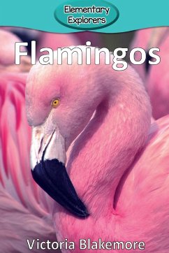 Flamingos - Blakemore, Victoria