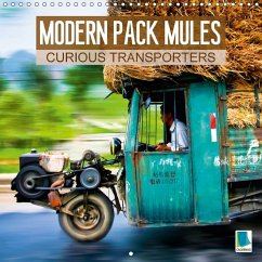 Modern pack mules: Curious transporters (Wall Calendar 2018 300 × 300 mm Square)