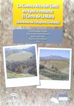 La cuenca alta del Genil en época romana : el Cerro de la Mora, Moraleda de Zafayona, Granada - Román Punzón, Julio M. . . . [et al.