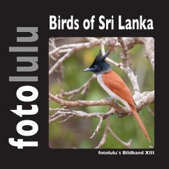 Birds of Sri Lanka - fotolulu