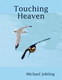 Touching Heaven (eBook, ePUB)