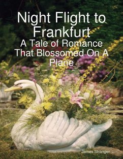Cover Night Flight to Frankfurt (eBook, ePUB)