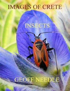 Images of Crete - Insects (eBook, ePUB) - Needle, Geoff