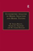 Econometric Analysis of Model Selection and Model Testing (eBook, PDF)