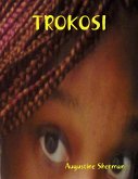 Trokosi (eBook, ePUB)