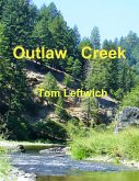Outlaw Creek (eBook, ePUB)
