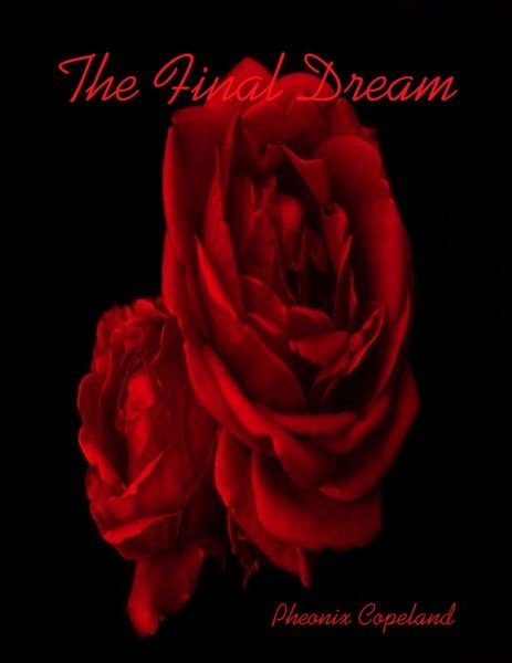 The Final Dream (eBook, ePUB)