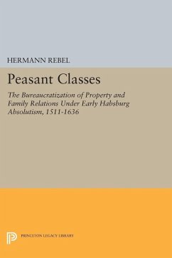 Peasant Classes (eBook, PDF) - Rebel, Hermann