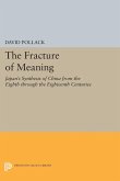 Fracture of Meaning (eBook, PDF)